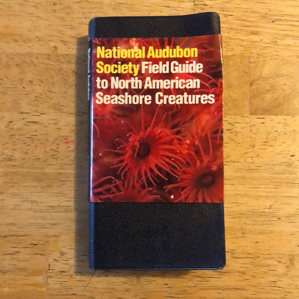 National Audubon Society Field Guide to North American SeaShore Creatures